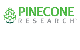 Bezahlte-Umfragen-Pinecone