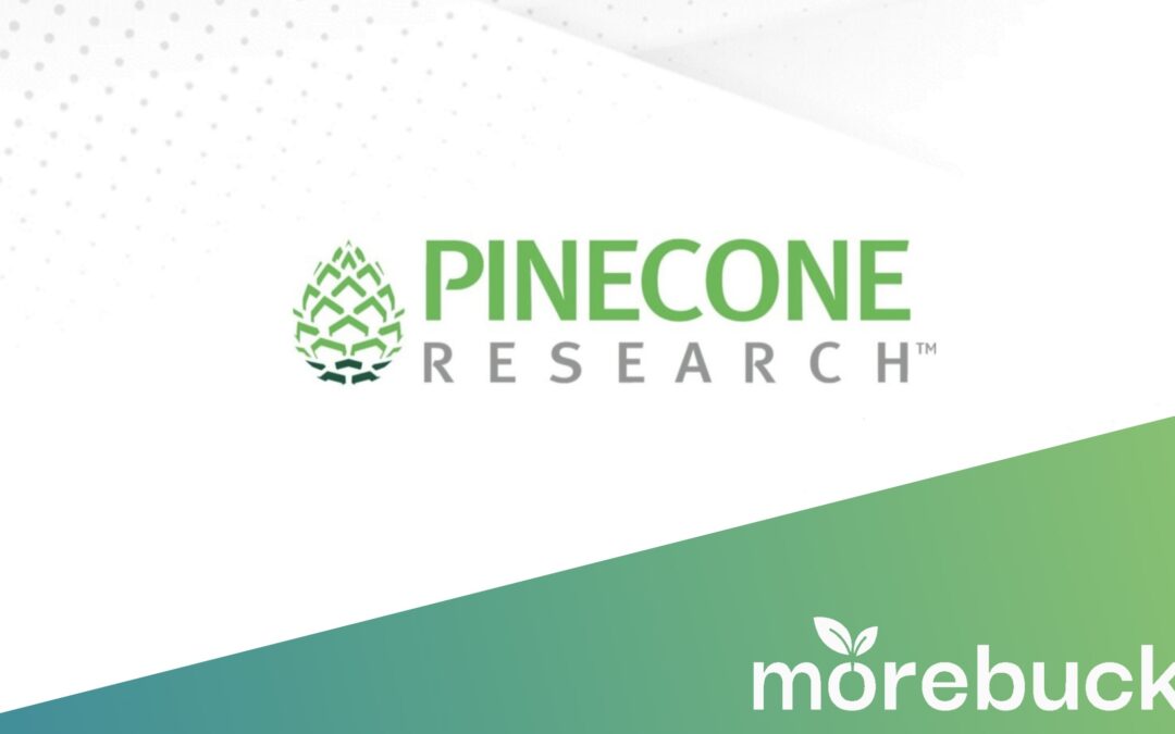 Pinecone Research: Meine Erfahrungen 2024 – Lohnt es sich?