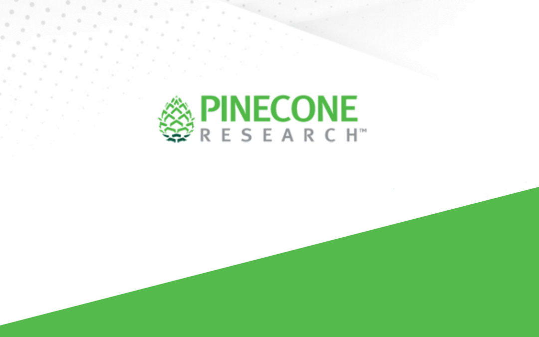 Pinecone Research Erfahrungen 2022: Ist Pinecone Research seriös?
