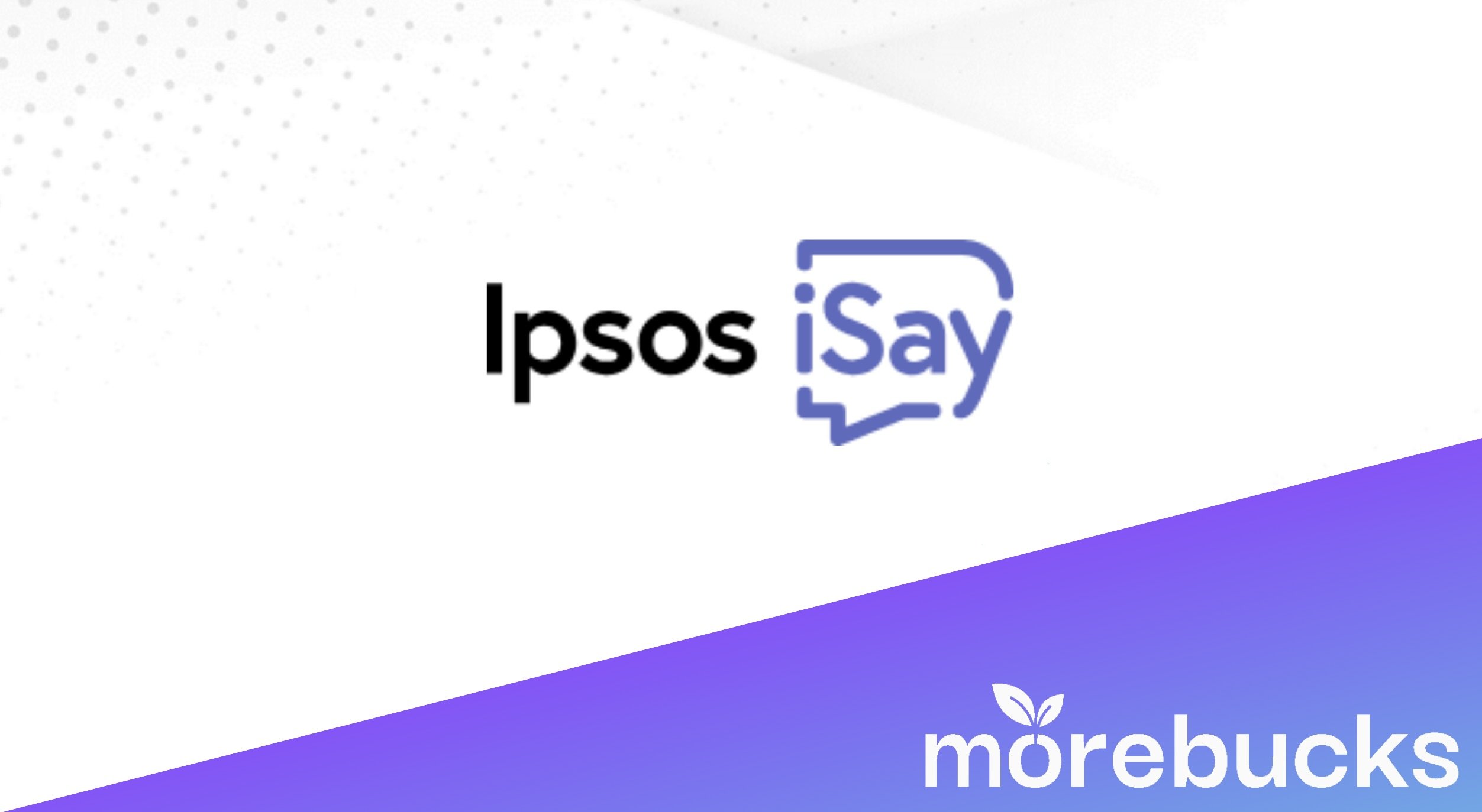 ipsos-i-say-erfahrungsbericht