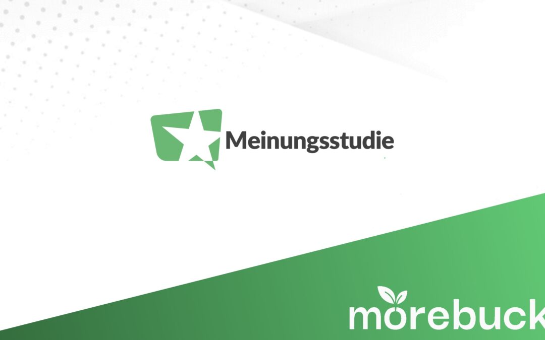 Meinungsstudie im Test: Meine Erfahrungen & Ehrliche Meinung