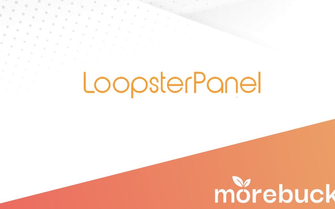 LoopsterPanel Testbericht: Vor- Nachteile & ob es sich Lohnt