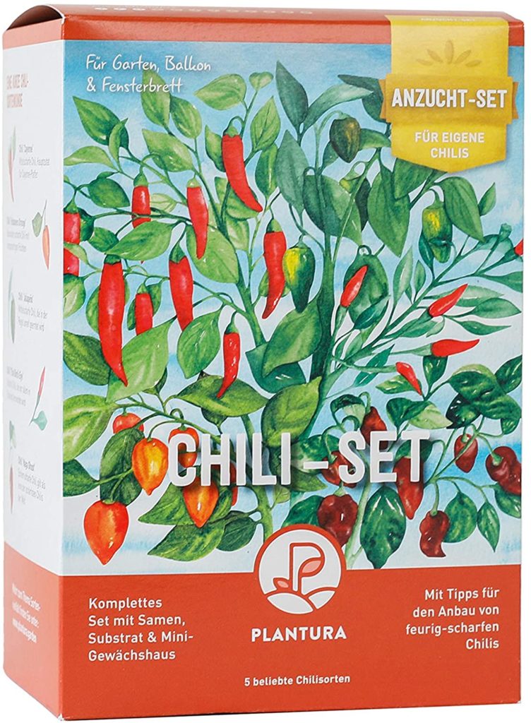 chilli-anzuchtset