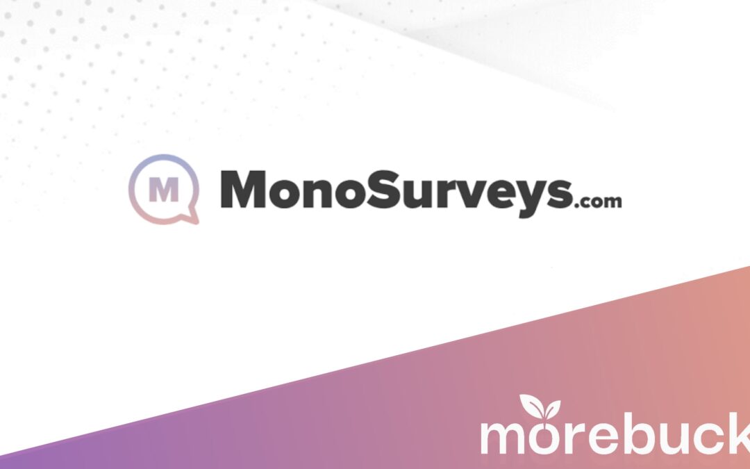 Monosurveys Erfahrungen: Ist das Umfragepanel seriös?