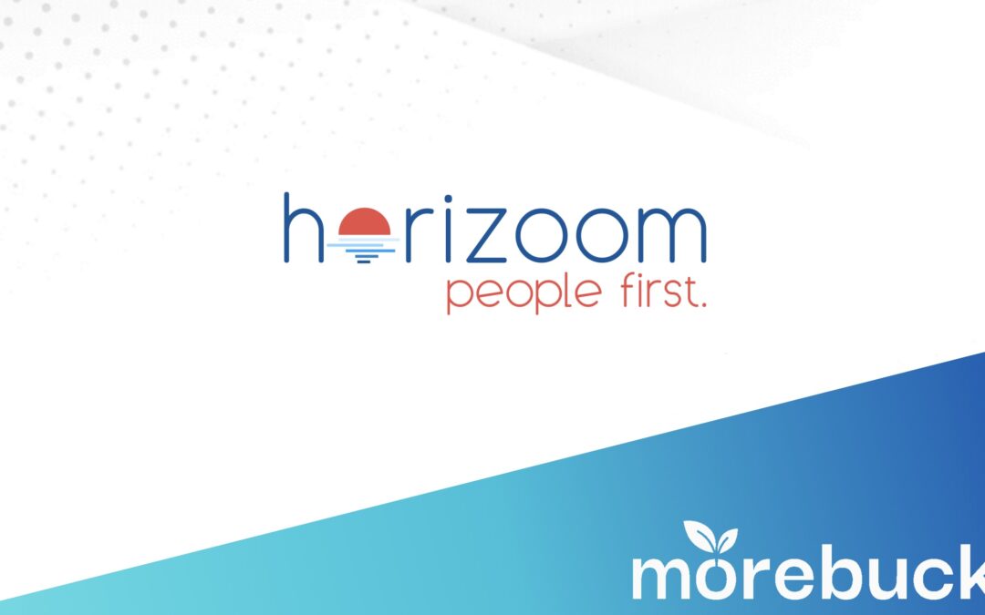 Horizoom Panel Testbericht: So viel konnte ich in 1 Monat verdienen