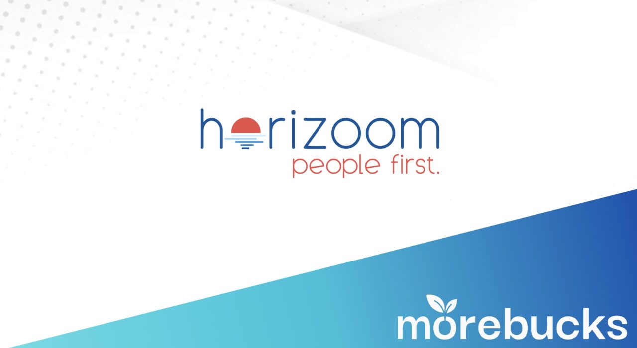 Horizoom Panel Testbericht So viel konnte ich in 1 Monat verdienen morebucks