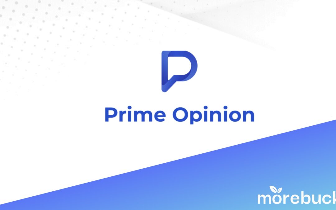 Prime Opinion Erfahrungen 2024: Top oder Flop?